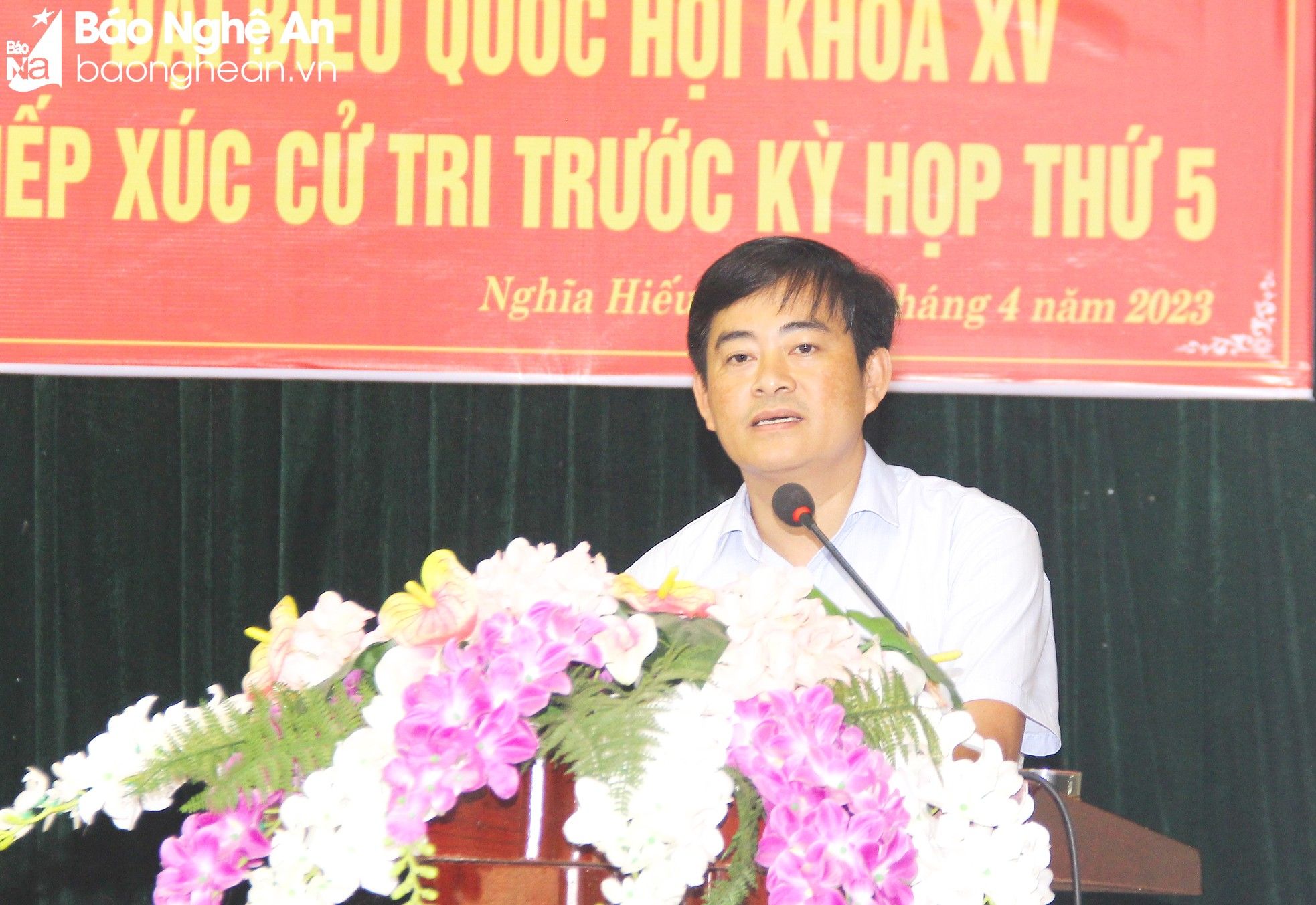 bna-mai-hoa-367.jpg