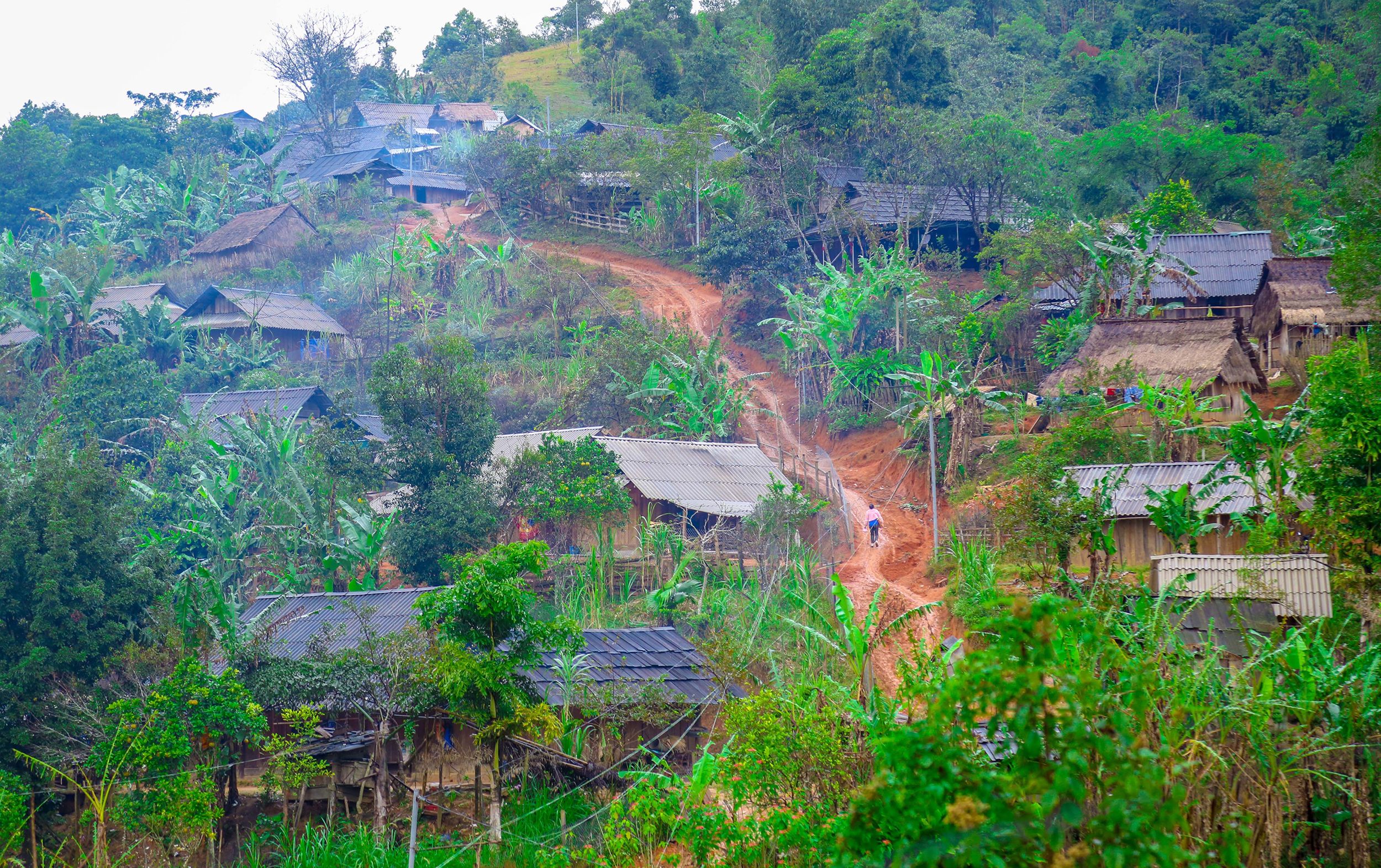 duong-vao-ban-mong-xa-tri-le-huyen-que-phong-anh-dinh-tuyen.jpg
