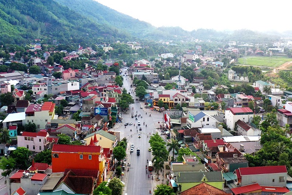 thai-hoa-2-1598417039.jpg
