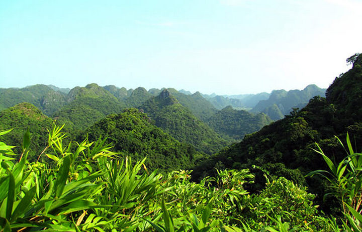 vietnam-national-park-cat-ba_20220122185842.jpg