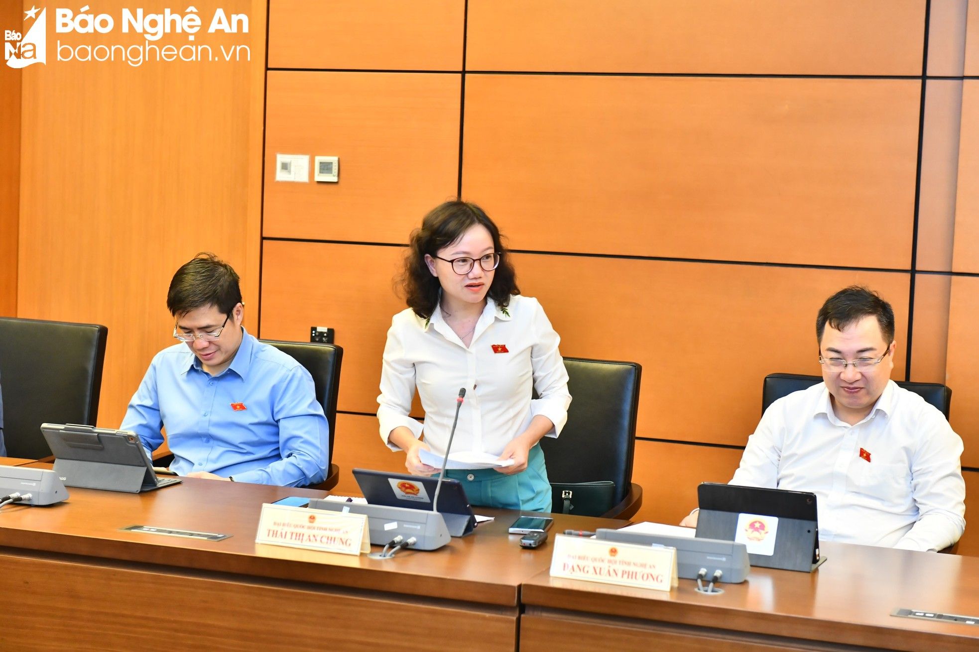 bna-dai-bieu-thai-thi-an-chung-pho-truong-doan-chuyen-trach-doan-dbqh-tinh-phat-bieu-thao-luan-anh-phan-hau-5171.jpg