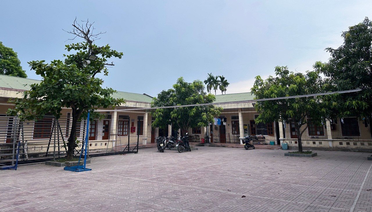 0ff3065a0bddd5838ccc.jpg