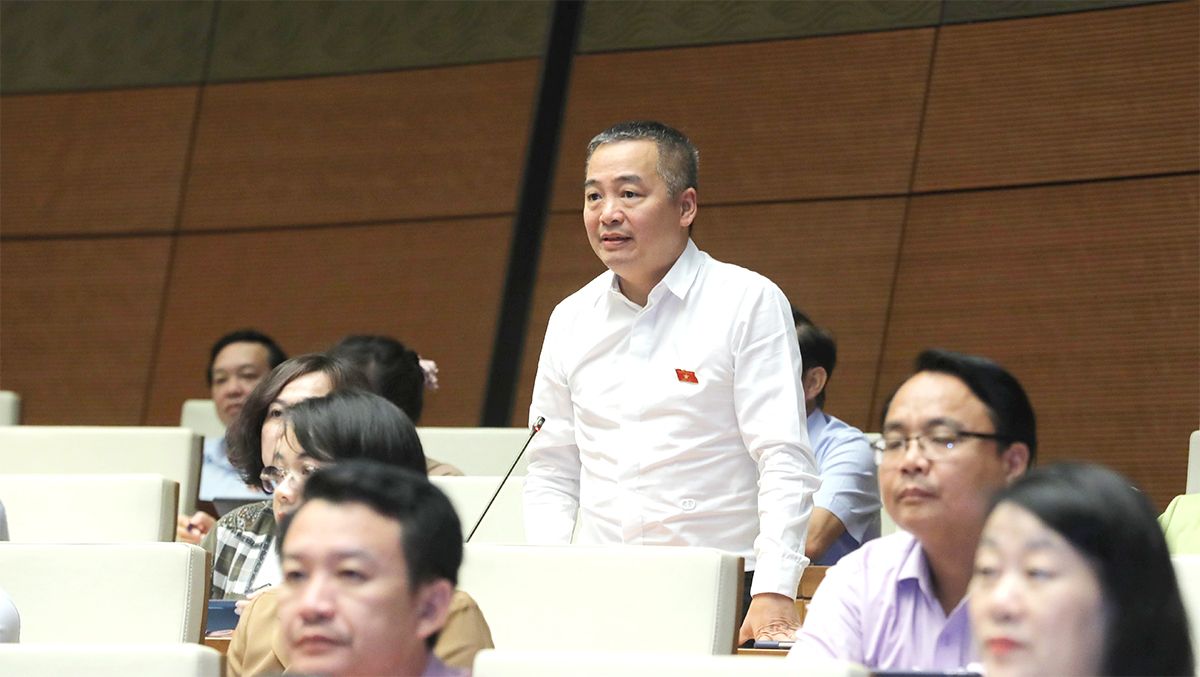 lan-hieu-binh-dinh-1685360992023.jpg