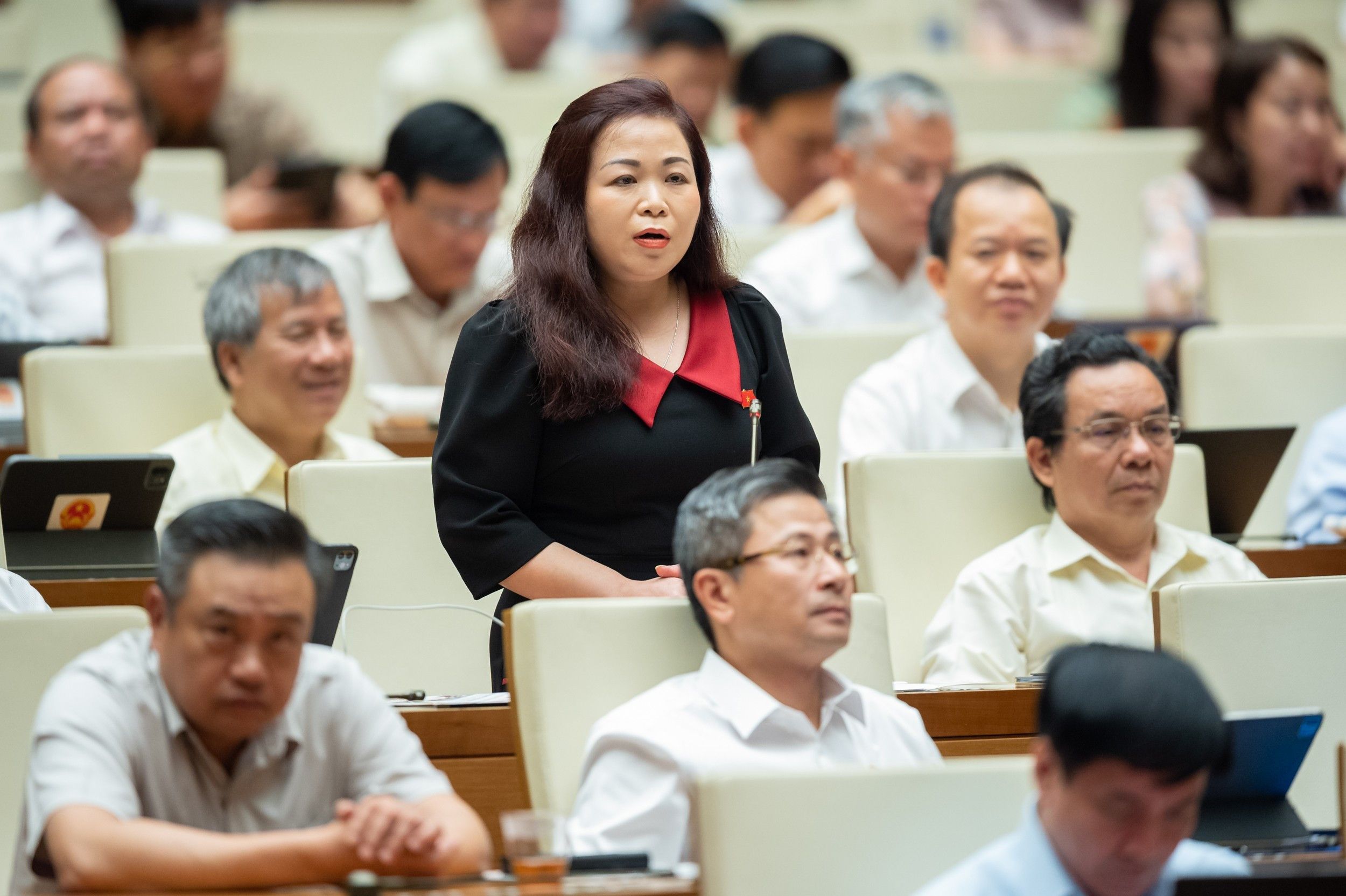 vu-luu-mai-1368.jpg