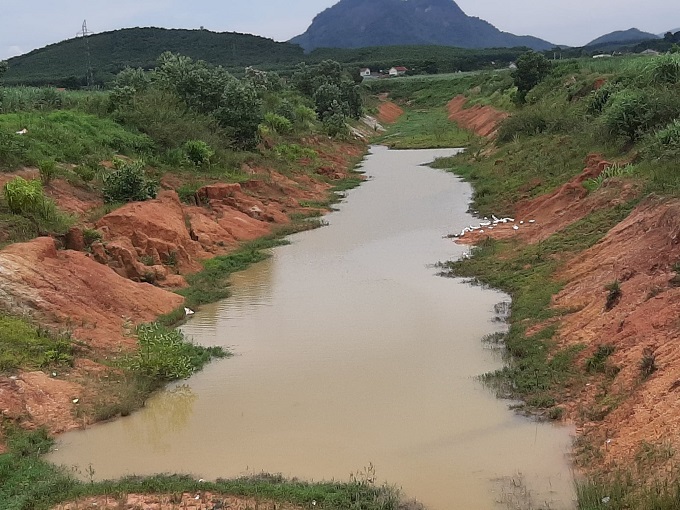 so-nong-nghiep-va-phat-trien-nong-thon-tra-loi-cu-tri-ban-quynh-1-xa-chau-binh-huyen-quy-chau--n1.jpg