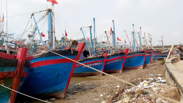 nhieu-du-thao-nghi-quyet-ve-co-che-chinh-sach-dac-thu-dang-duoc-hoan-thien-de-trinh-hoi-dong-nhan-dan-tinh--n1.jpg