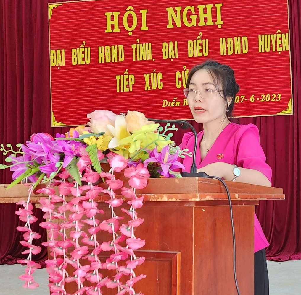 dai-bieu-hdnd-tinh-tiep-xuc-cu-tri-cum-xa-hung-hoang-truong-va-cum-xa-hai-my-hong-phong-xa-huyen-dien-chau--n1.jpg