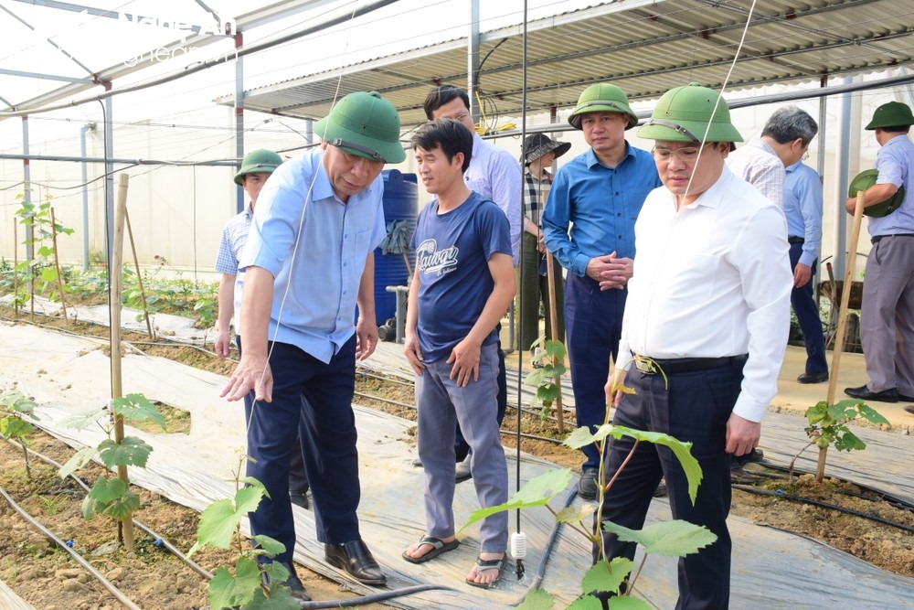 bna_c_bna-lanh-dao-tinh-tham-quan-mo-hinh-san-xuat-rau-ap-dung-cong-nghe-cao-tai-xa-tang-thanh-yen-thanh-anh-xuan-hoang-6394.jpg