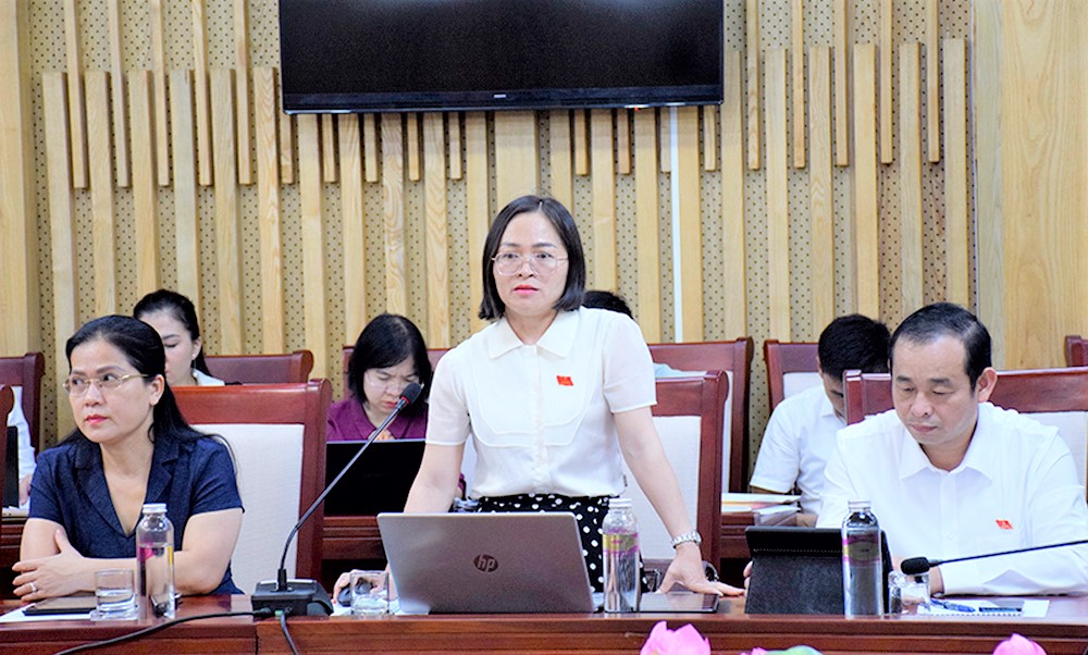 nhung-doi-moi-trong-to-chuc-thao-luan-va-kinh-nghiem-nang-cao-chat-luong-thao-luan-tai-cac-ky-hop-thuong-le-hdnd-tinh--n3.jpg