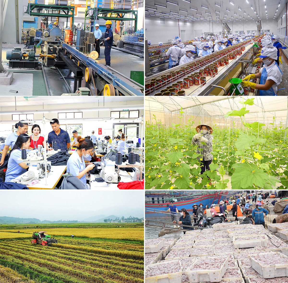 thuc-day-nhung-quyet-sach-tao-dong-luc-phat-trien-kinh-te-xa-hoi--n2.jpg