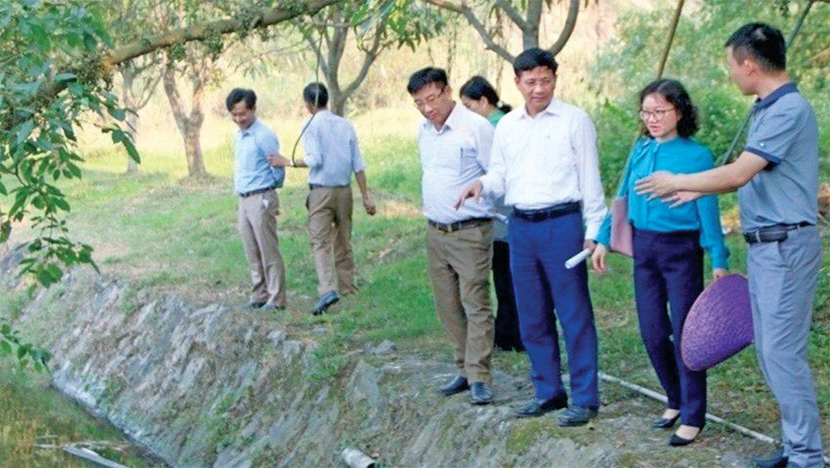 huy-dong-1688685272449.jpg