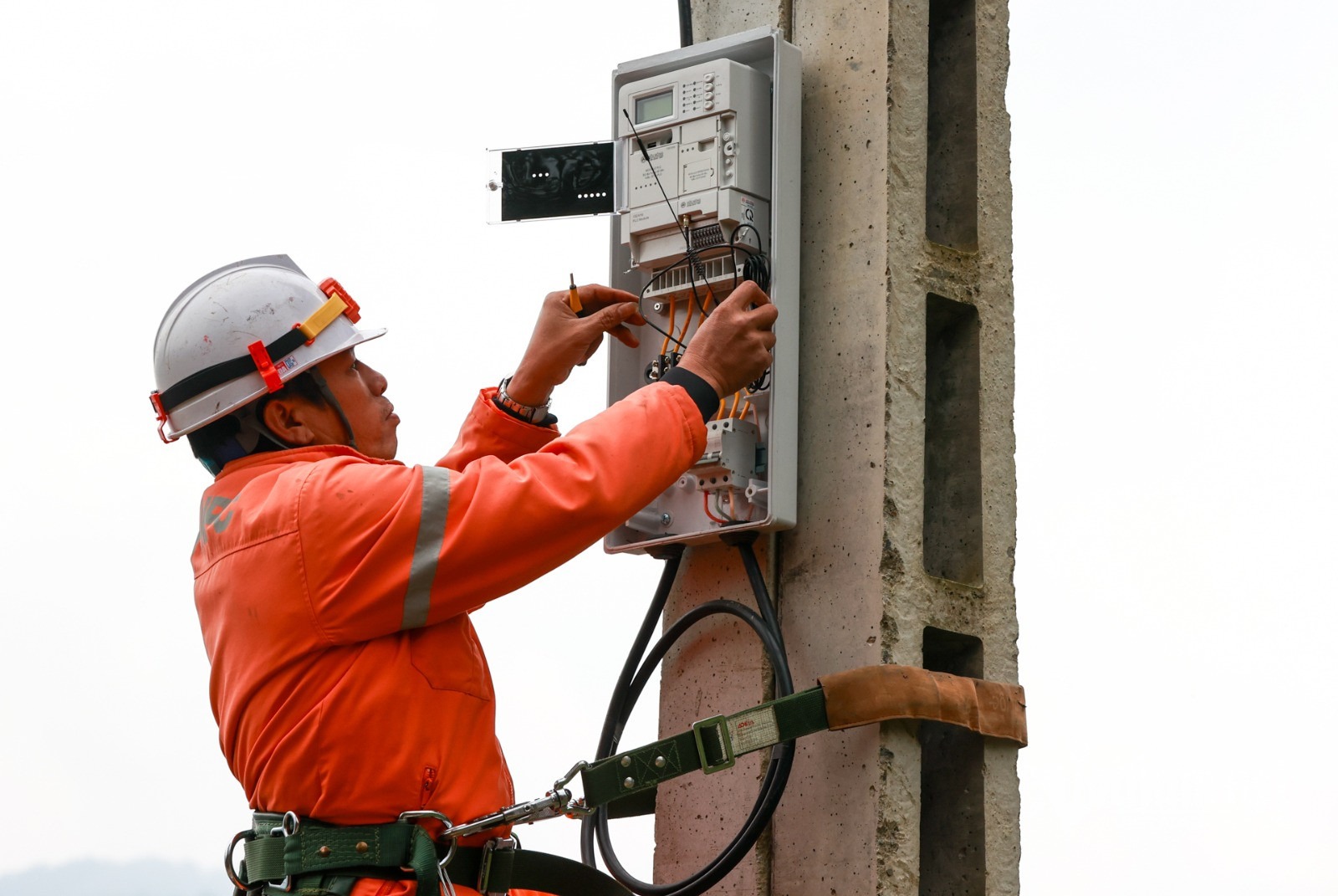 evn-pham-hai-6577-1-737.jpg?width=0&s=n_Zcp_Up6UtD8jIb4Q59XQ