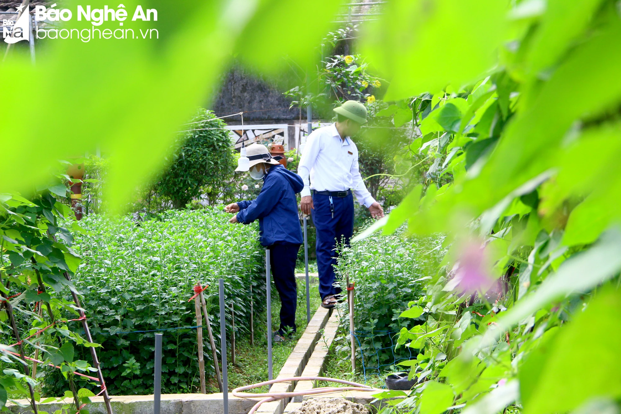 bna-nam-giang-1-8632.jpg.webp