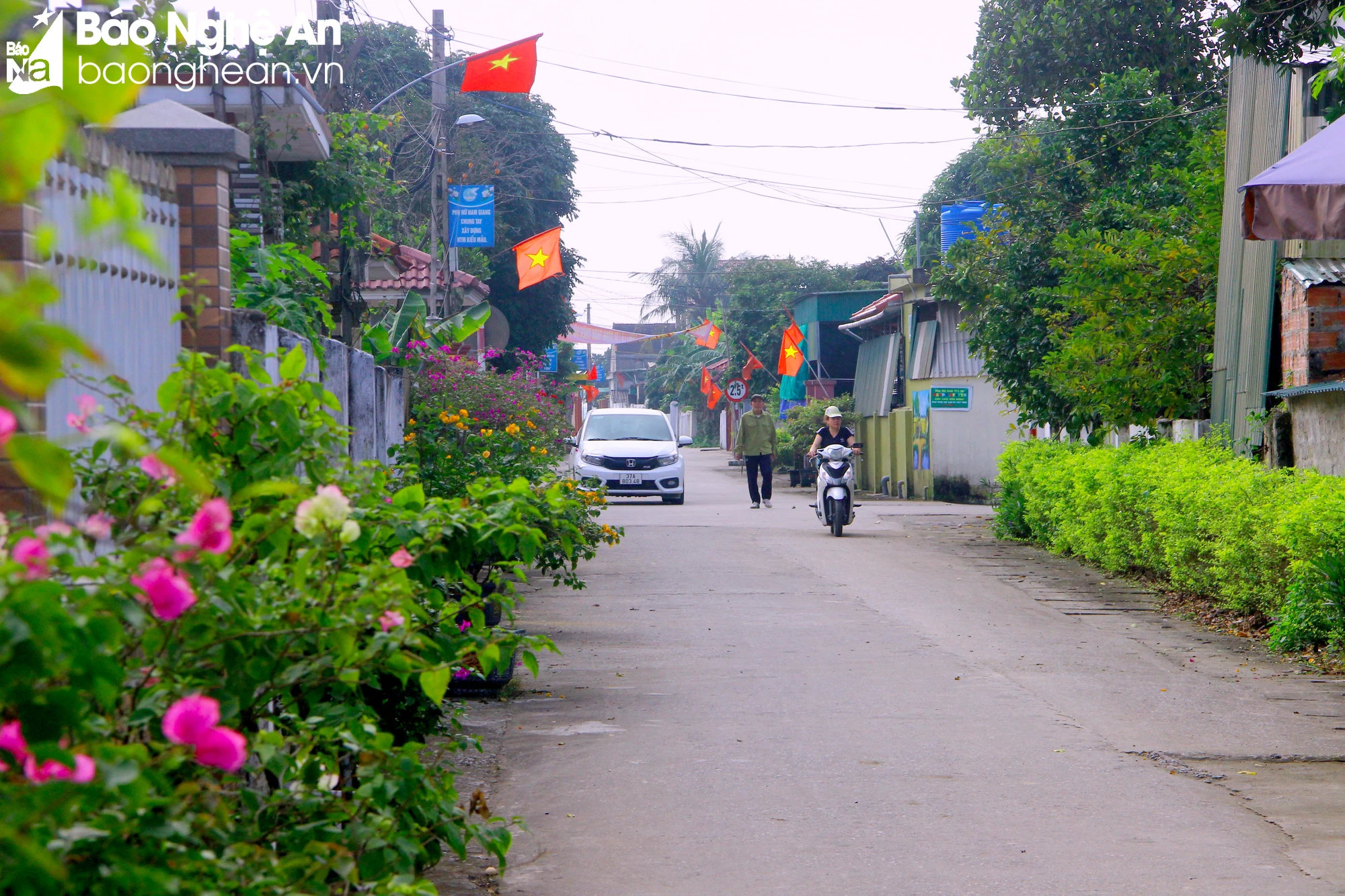 bna-nam-giang-2-5639.jpg.webp