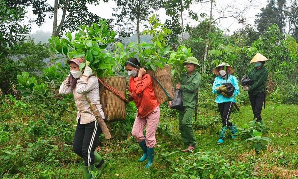 Sở Y tế trả lời cử tri xã Xuân Hoà, huyện Nam Đàn về chính sách hỗ trợ bảo hiểm y tế cho các hộ cá nhân làm nông, lâm, ngư nghiệp