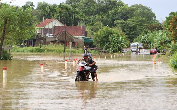 Sở Giao thông - vận tải trả lời cử tri xã Trung Sơn, huyện Đô Lương về đầu tư xây dựng mương thoát nước dọc tuyến đường Quốc lộ 46B