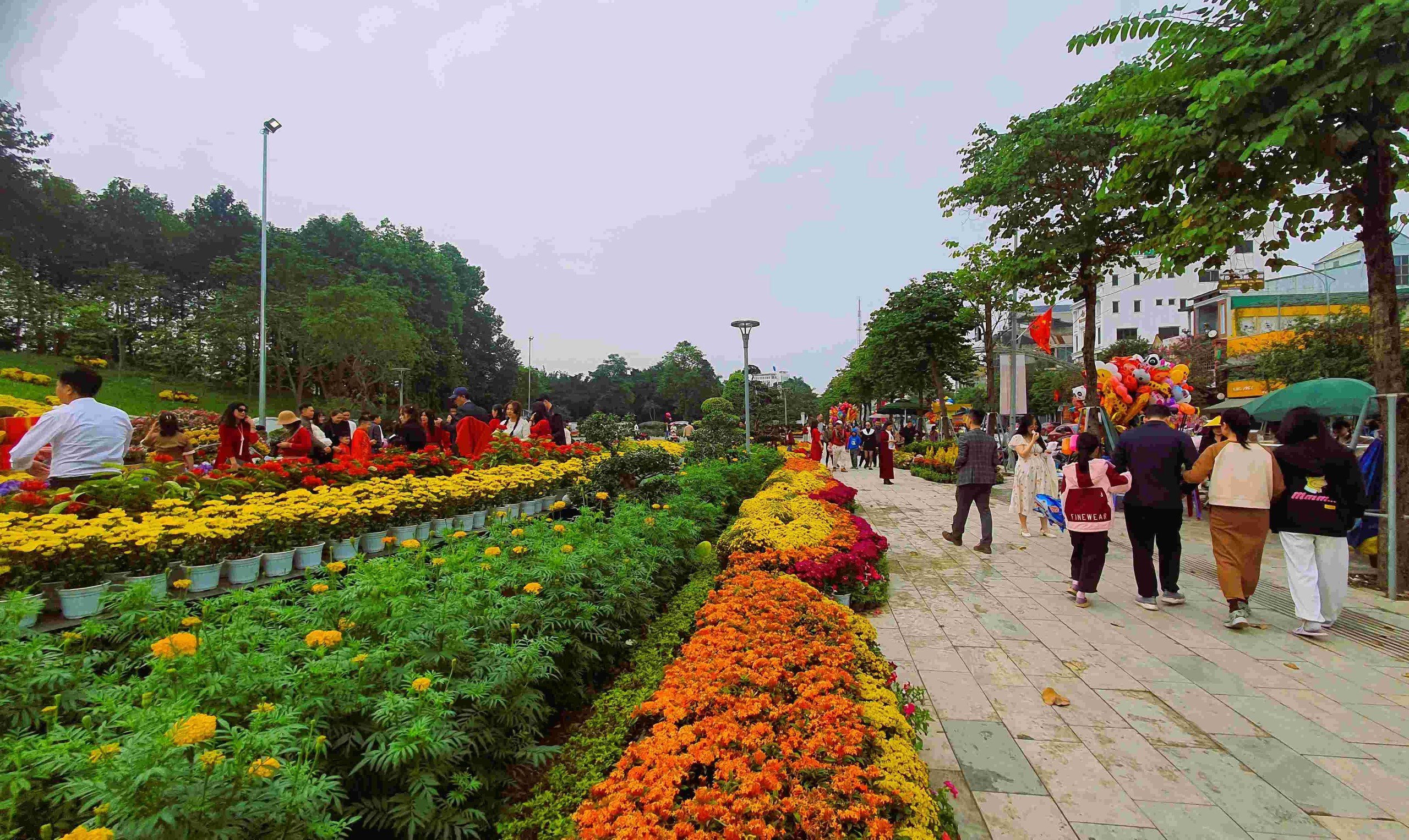 Sắc xuân Giáp Thìn 2024 tại thành phố Vinh