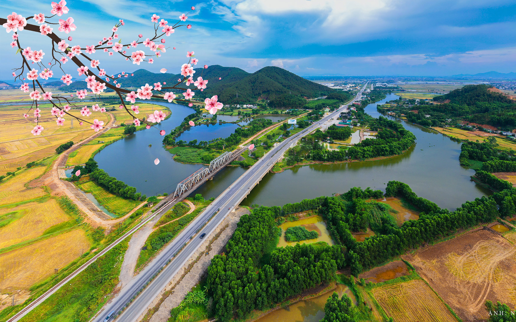 Tựa thế rồng vươn cao