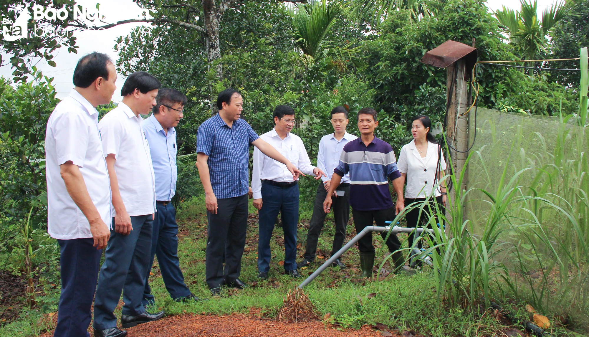 bna-hdnd-tinh-giam-sat-viec-trien-khai-dua-chinh-sach-ho-tro-phat-trien-nong-nghiep-vao-cuoc-song-o-huyen-nam-dan-anh-mai-hoa-1797.jpg.webp
