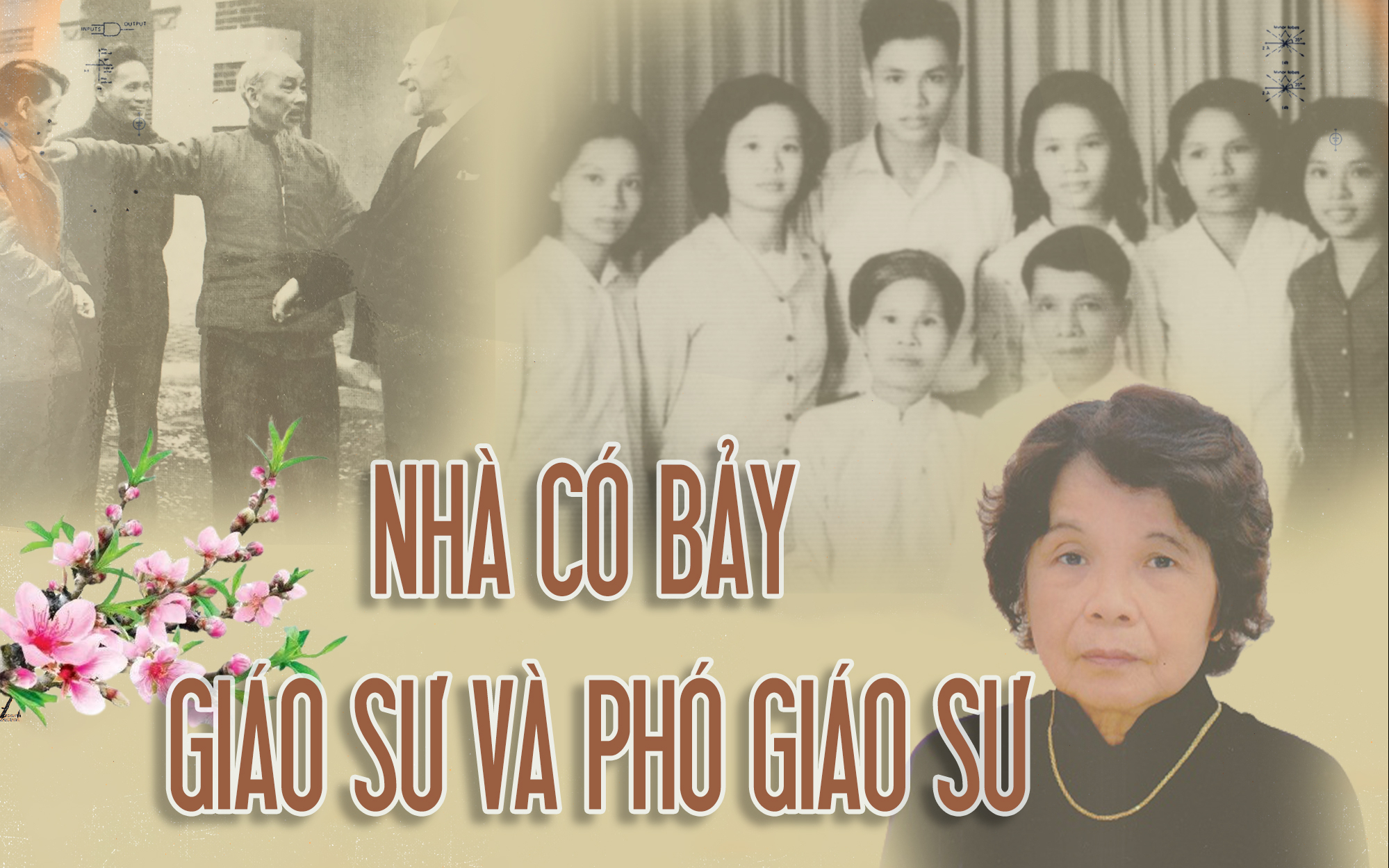 NHÀ CÓ BẢY GIÁO SƯ VÀ PHÓ GIÁO SƯ