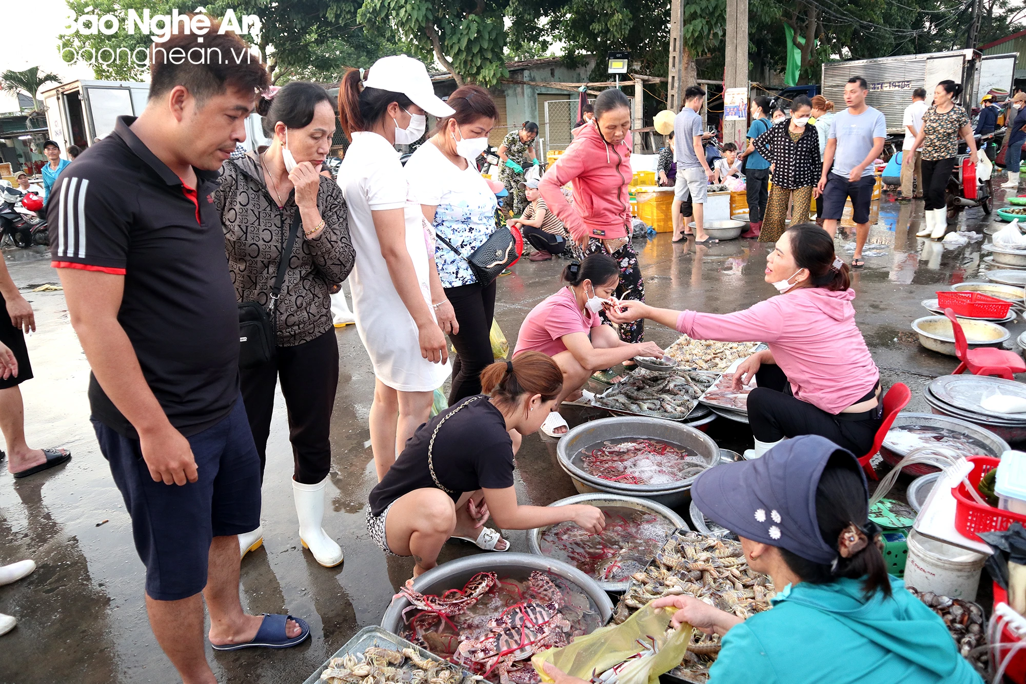 bna-du-khach-chon-hai-san-anh-tpjpg-7720.jpg.webp
