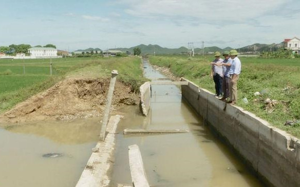 Sở Nông nghiệp và Phát triển nông thôn trả lời cử tri Nguyễn Đình Hanh, Chủ tịch Ủy ban nhân dân phường Quỳnh Xuân, thị xã Hoàng Mai về nâng cấp hệ thống kênh Vực Mấu