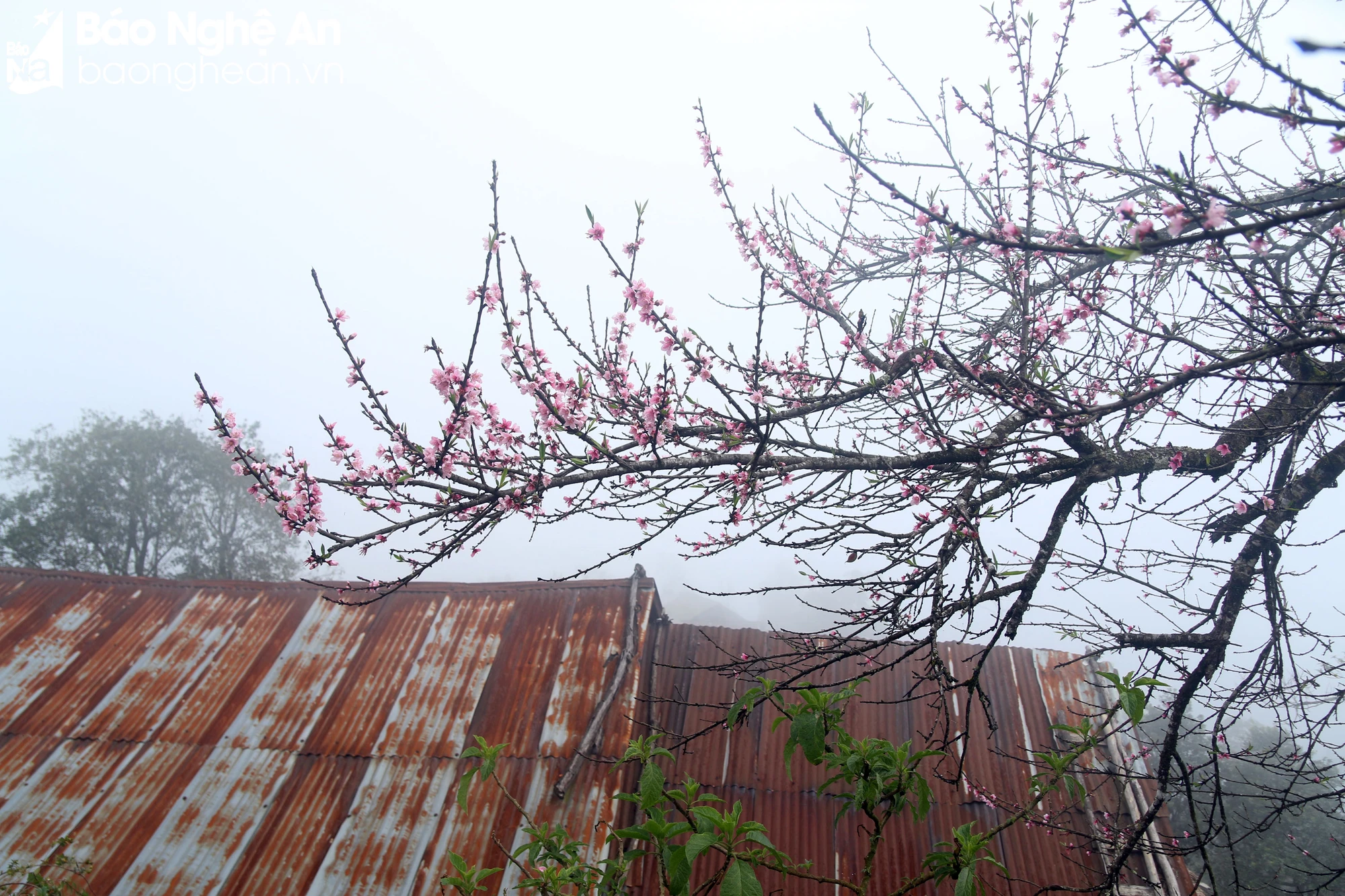 bna-anh-6-1382.jpg.webp