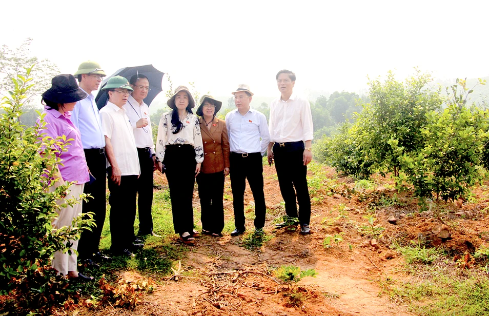 bna-doan-qh4-5148.png.webp