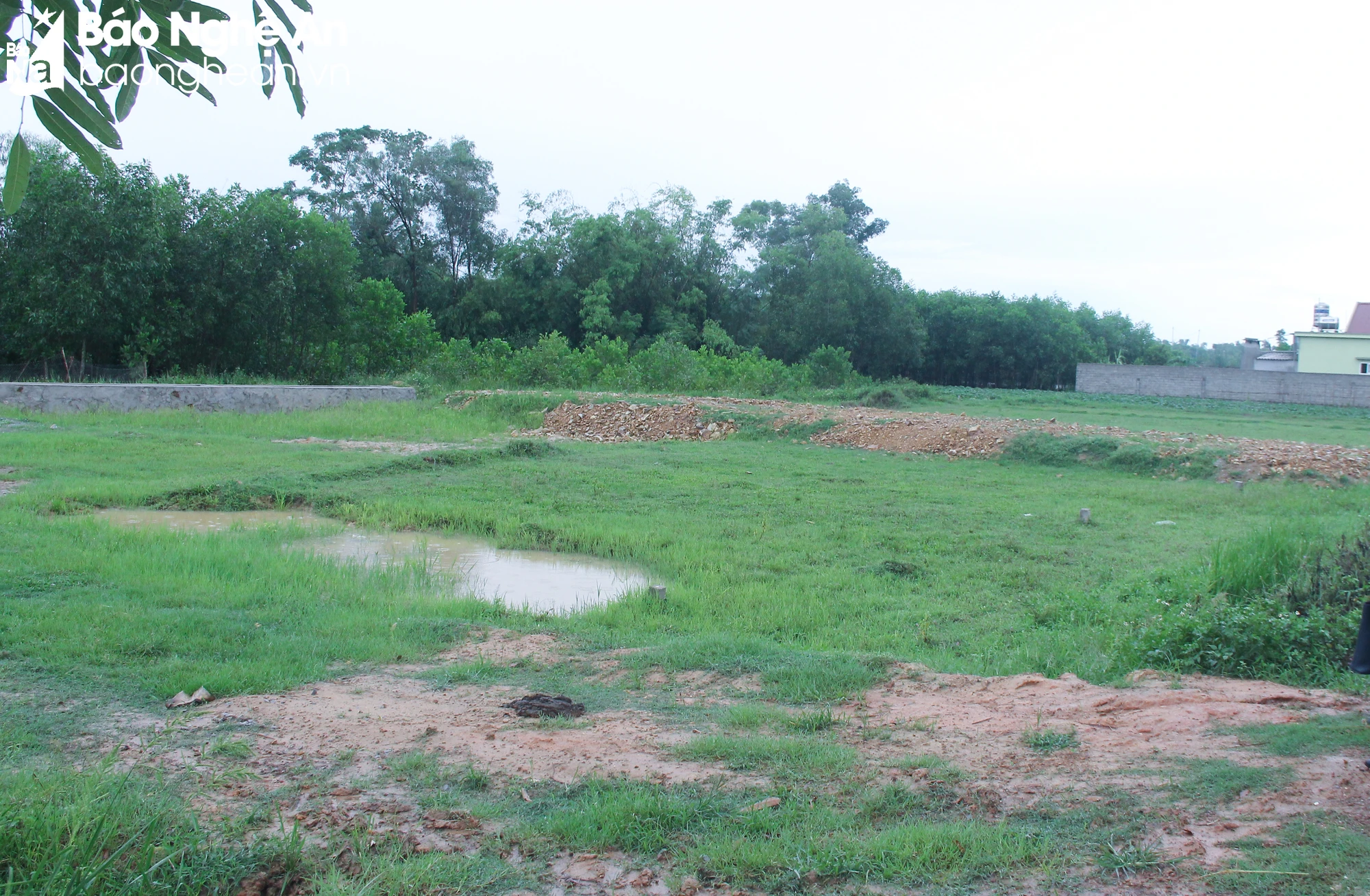 bna-vung-quy-hoach-dat-vua-duoc-dau-gia-tai-xa-phuc-thanh-huyen-yen-thanh-anh-mai-hoa-9230.jpg.webp