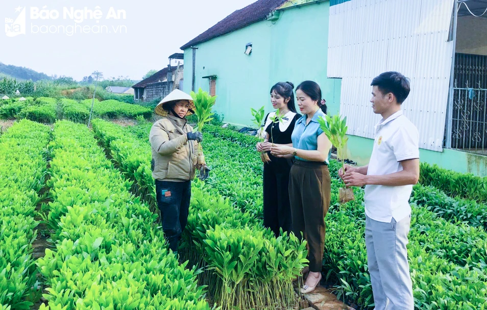 bna-mh-lanh-dao-xa-tan-huong-huyen-tan-ky-tim-hieu-mo-hinh-uom-tram-cua-nguoi-dan-anh-bai-co-cau-to-chuc-bo-may-cua-mai-hoa-1887.jpg.webp