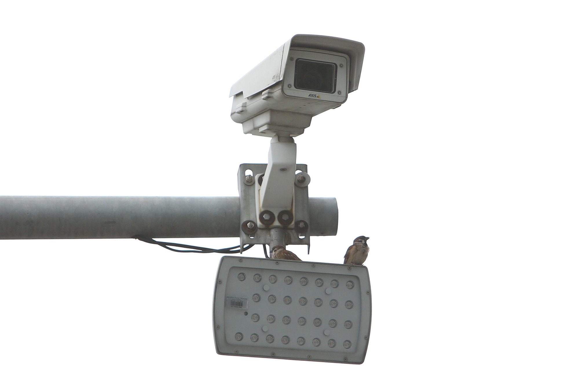 brt-thaong-8-1016.jpg?width=0&s=KdRmn_cdwNvYjRDQaJtOQQ