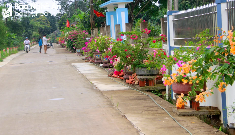 bna-duong-hoa-1-7819.jpg.webp