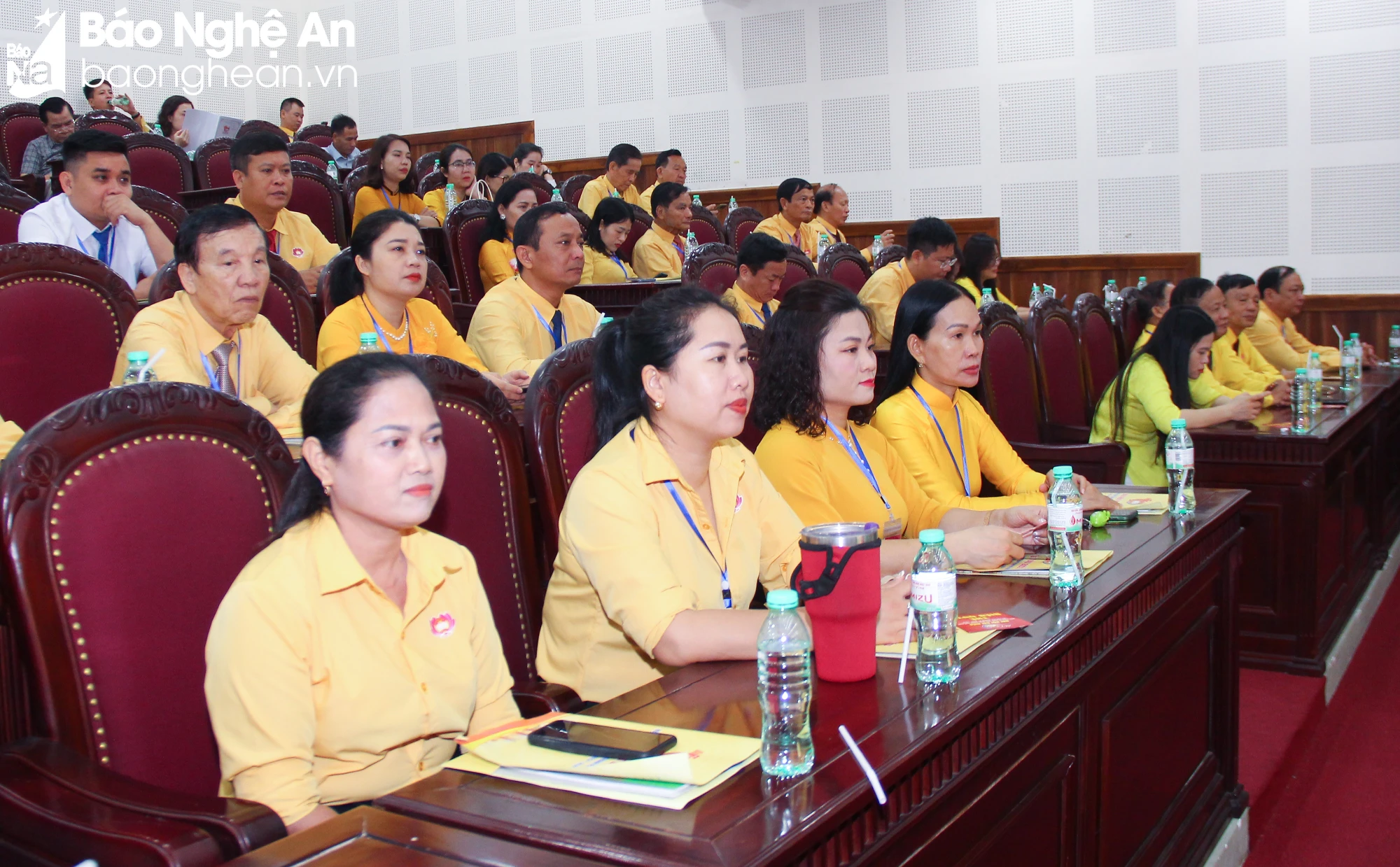 bna-mttp-408.jpg.webp