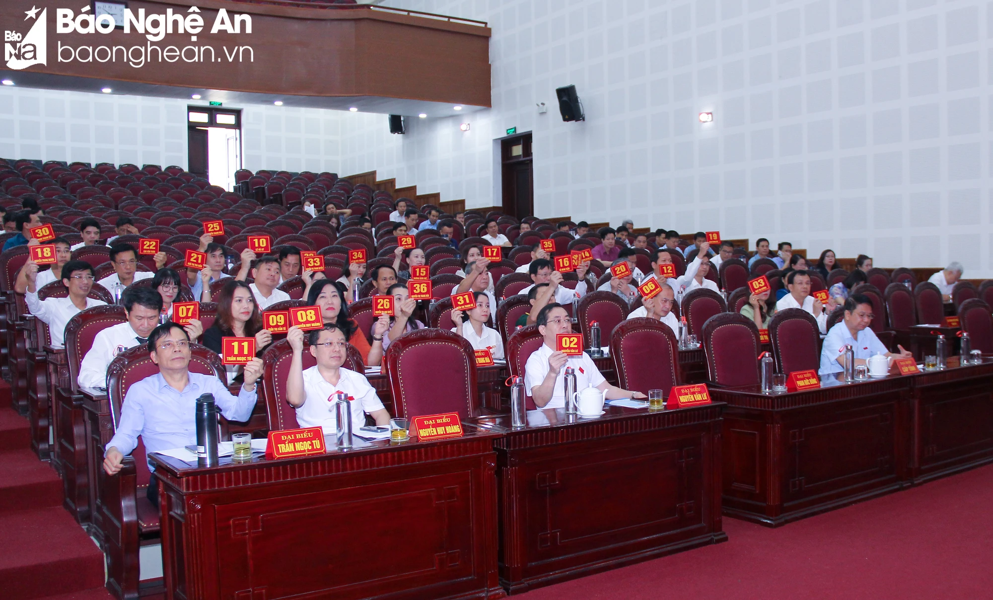 bna-hd8-3205.jpg.webp