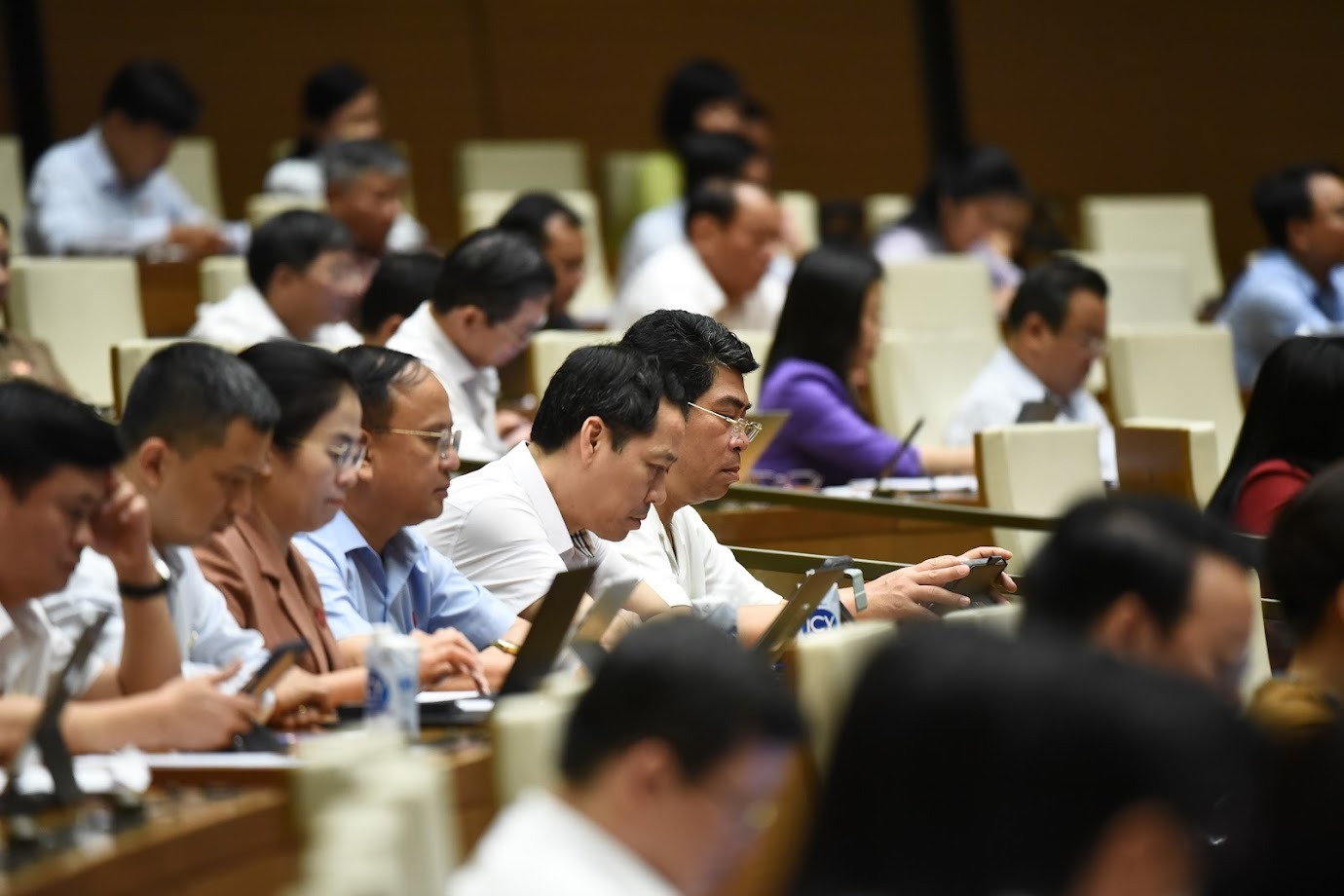 Cac-dai-bieu-tai-phien-hopDSC_63-1716977495472.JPG
