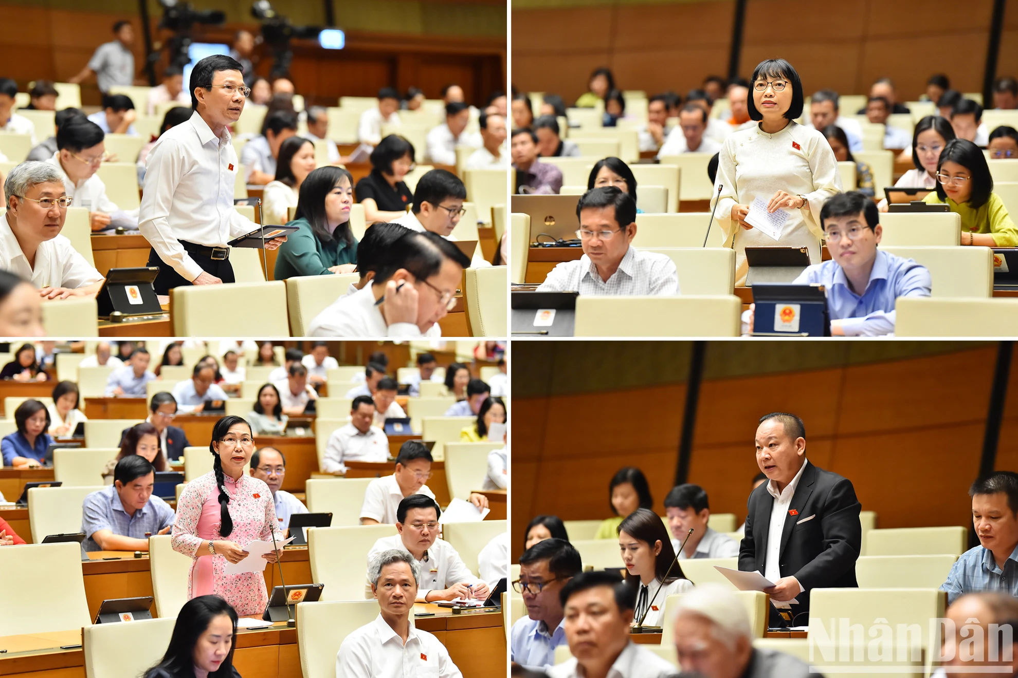 ndo_br_7-6606.jpg.webp