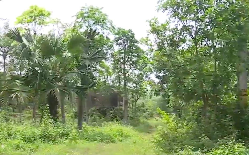 Thường trực HĐND tỉnh xử lý đơn của bà Trần Thị Huệ, trú tại xóm 18 B (Nam Liên), xã Nghi Liên, thành phố Vinh