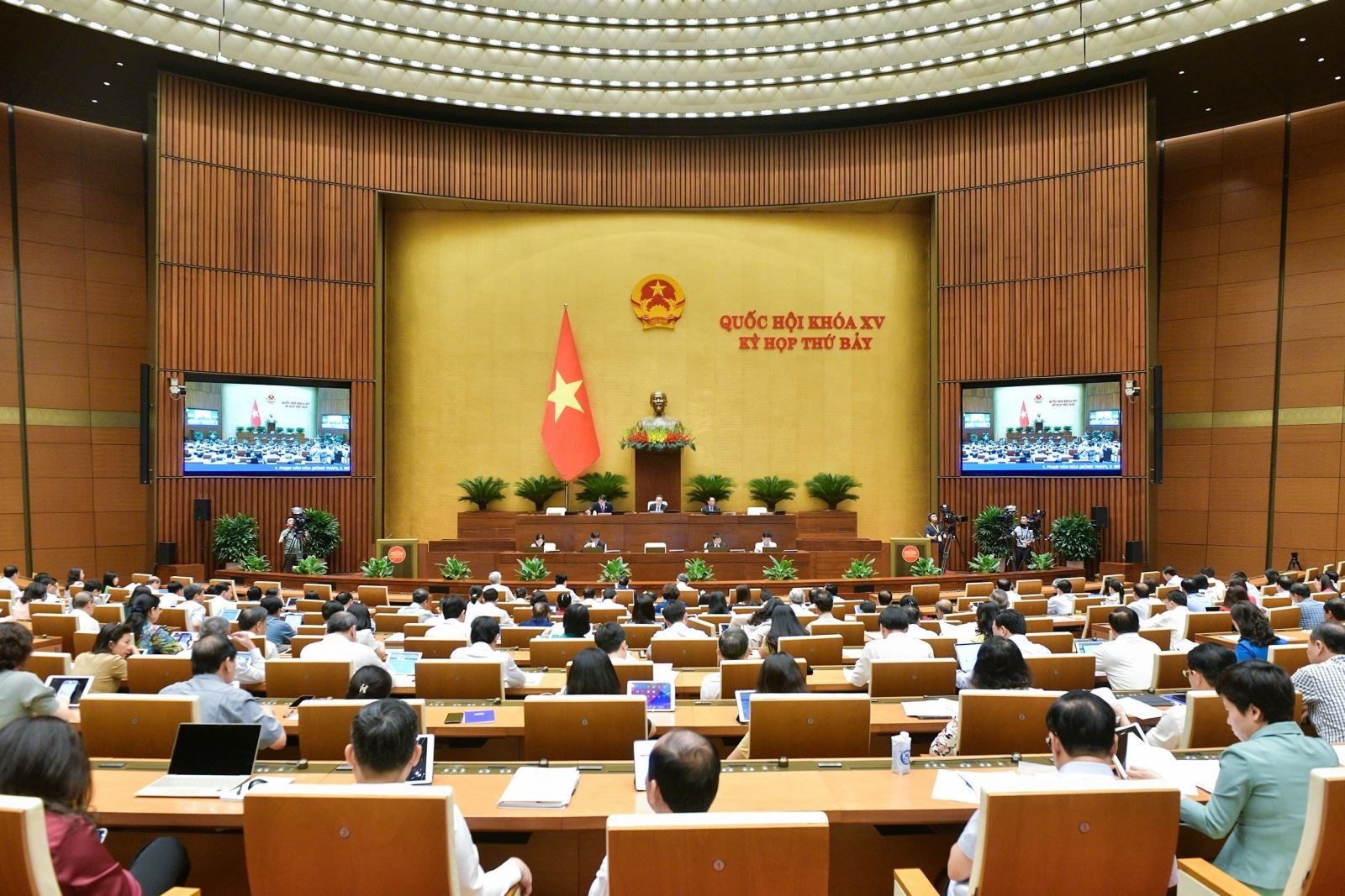 qhoi_20240619071847.jpg