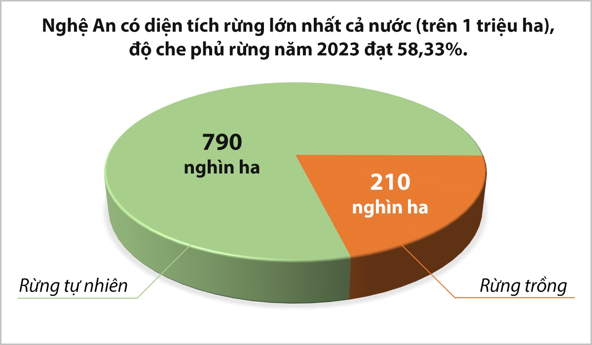 uploaded-huuquanbna-2024_05_05-_dien-tich-rung-nghe-an-8251.png