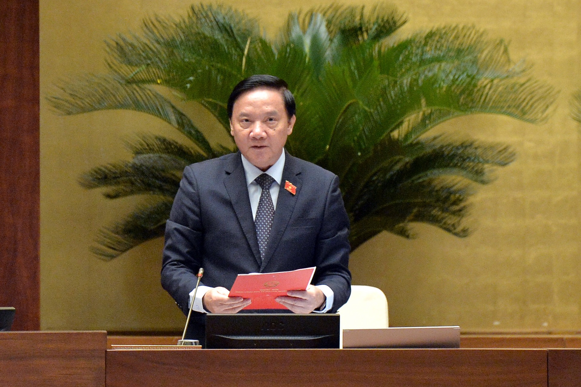 pct-qh-dinh-2-1719630917789.jpg