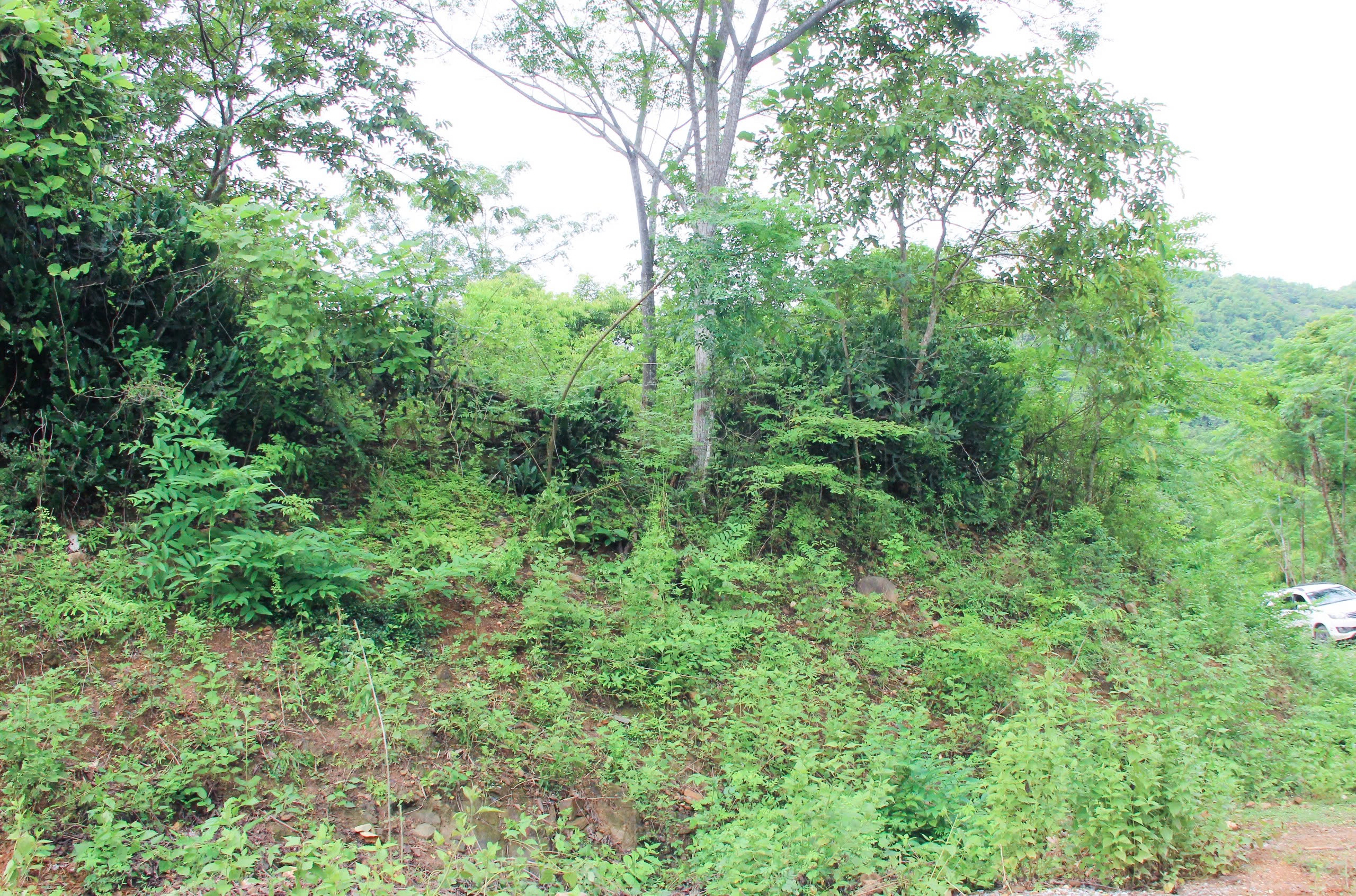 Quan tâm tháo gỡ vướng mắc, sớm triển khai dự án khu tái định cư tại huyện Kỳ Sơn