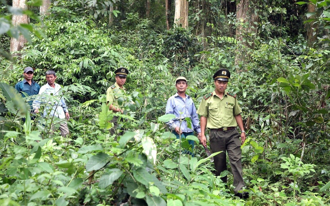 Bộ Nông nghiệp và Phát triển nông thôn trả lời kiến nghị cử tri về chế độ chính sách cho lực lượng chuyên trách bảo vệ rừng