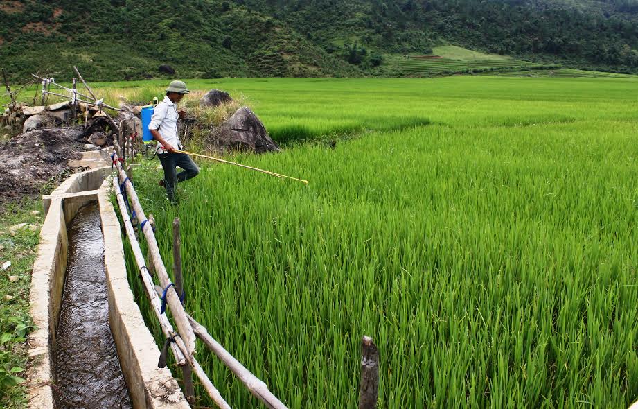Sở Nông nghiệp và Phát triển nông thôn trả lời cử tri huyện Quế Phong về xây dựng các công trình hệ thống thủy lợi
