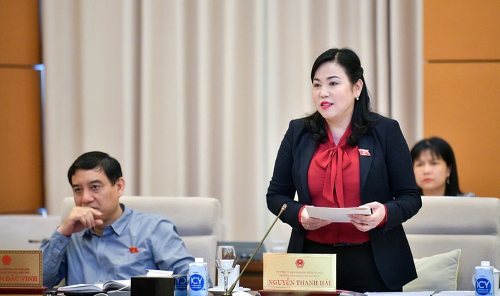 truong-ban-cong-tac-dai-bieu-nguyen-thanh-hai-2-6267.jpg