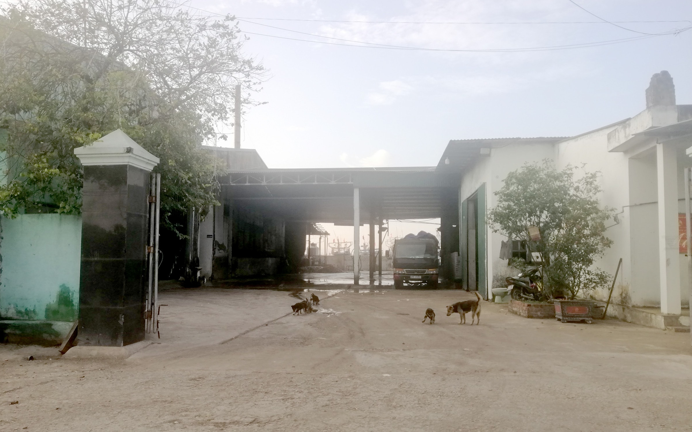 Sở Tài nguyên và Môi trường trả lời cử tri Trần Xuân Dũng, xóm Đức Long, xã Quỳnh Thuận, huyện Quỳnh Lưu về việc gây ô nhiễm môi trường của Công ty TNHH Thủy sản Bắc Miền Trung