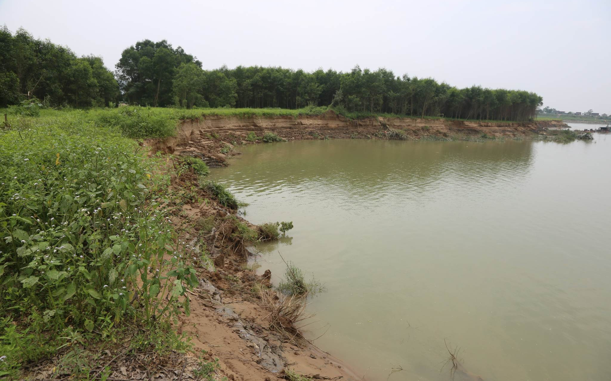 Sở Tài nguyên và Môi trường trả lời kiến nghị cử tri huyện Nam Đàn về giải pháp chống sạt lở đất trong quá trình khai thác cát ven sông Lam