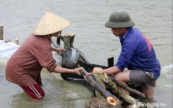 Bộ Công Thương trả lời kiến nghị cử tri về bố trí nguồn vốn để thực hiện cấp điện cho đảo Mắt và các thôn, bản chưa có điện trên địa bàn tỉnh