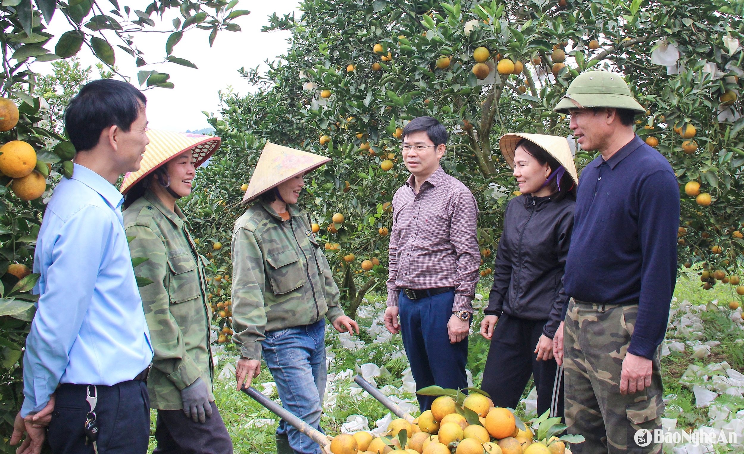 bna_-can-bo-huyen-thanh-chuong-tang-cuong-di-co-so-gan-dan-sat-dan.-.jpg