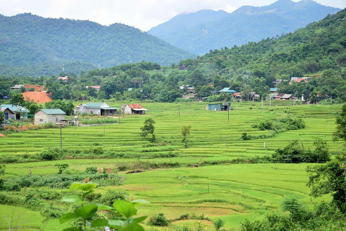 Phân bổ 1.006. 678 triệu đồng thực hiện 3 Chương trình mục tiêu quốc gia