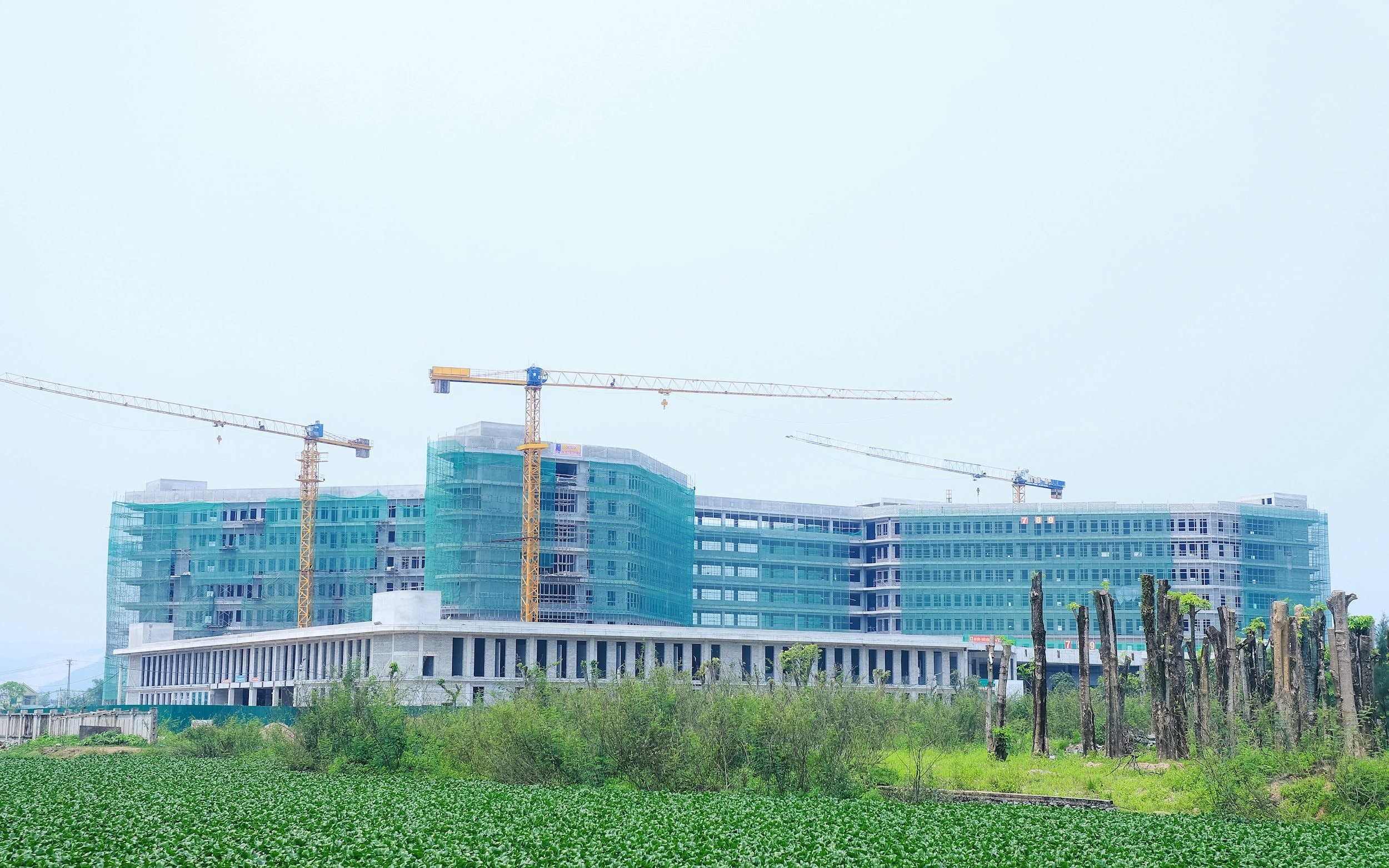 bna_benh-vien-ung-buou-nghe-an-39b8f43a0161c6f6c3749674557a33c8.jpg